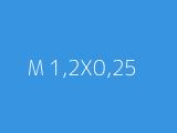 M 1,2X0,25 